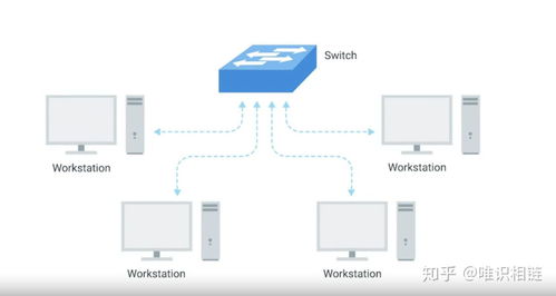 计算机网络快速入门 网络设备、电缆及其功能解析